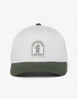 Travis Mathew Fire Mountain Snapback Hat Vanilla Ice | SFCZBTP-19