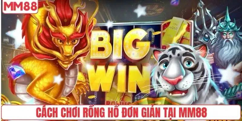 Cách Chơi Rồng Hổ Tại MM88 Hiệu Quả Cho Người Mới Bắt Đầu 5 Cách chơi Rồng hổ đơn giản tại MM88